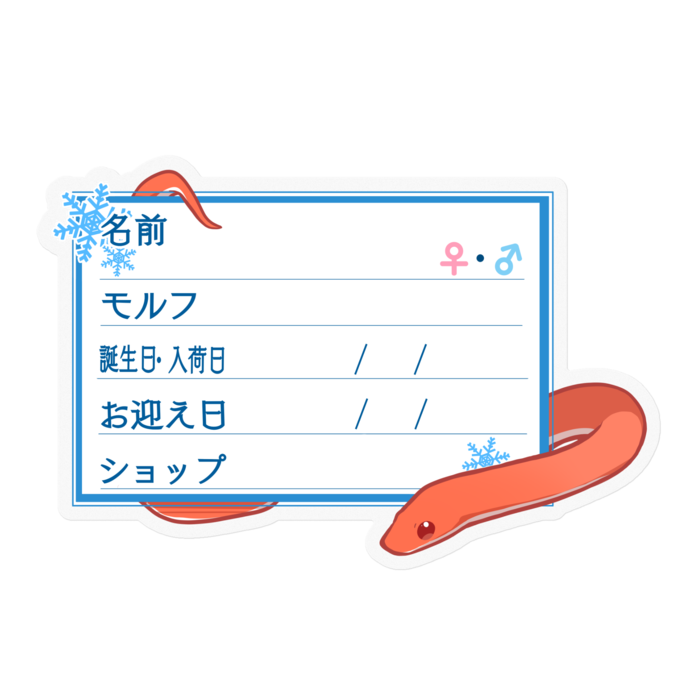 【🐍お名前ステッカー】コーンスネーク(ブラッドレッド) - 雪