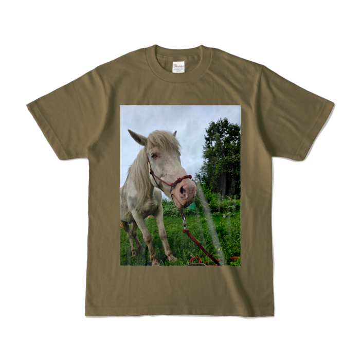 カラーTシャツ - S - オリーブ (濃色)