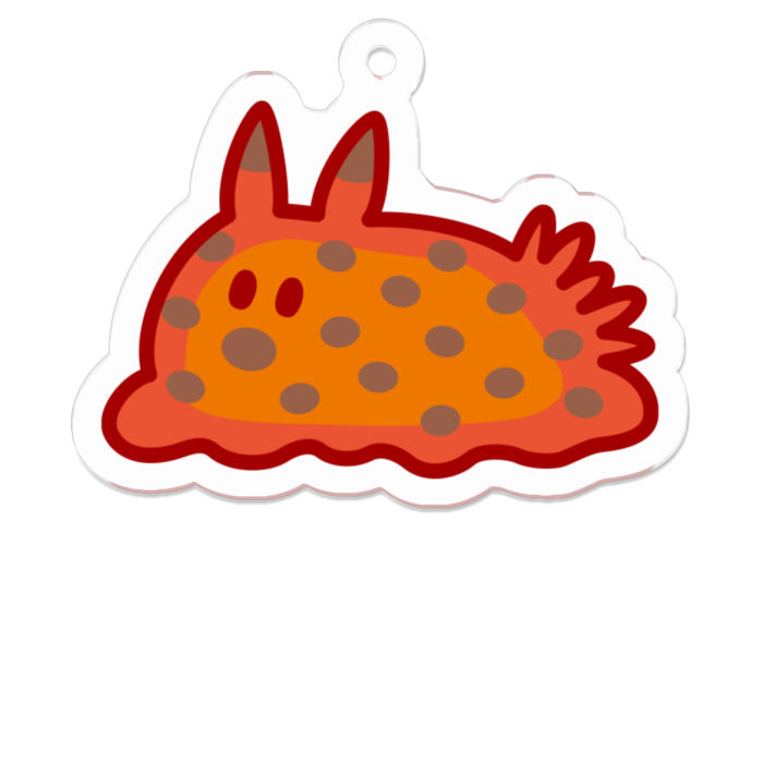 ヒメマダラウミウシ