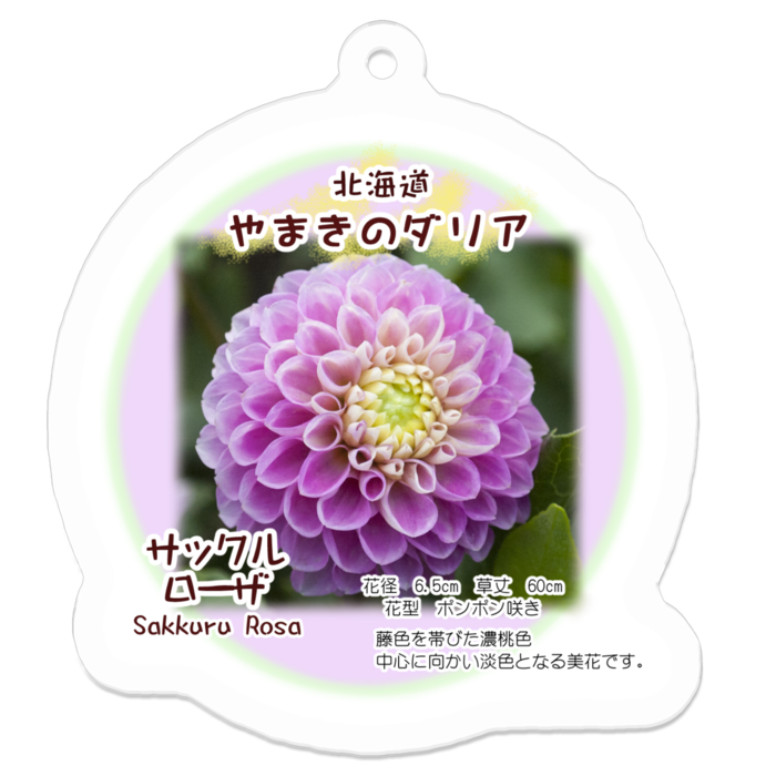 アクリルキーホルダー - 50 x 50 (mm)