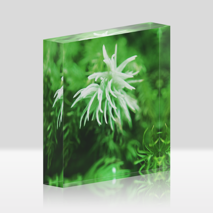 アクリルブロック - 100x100mm