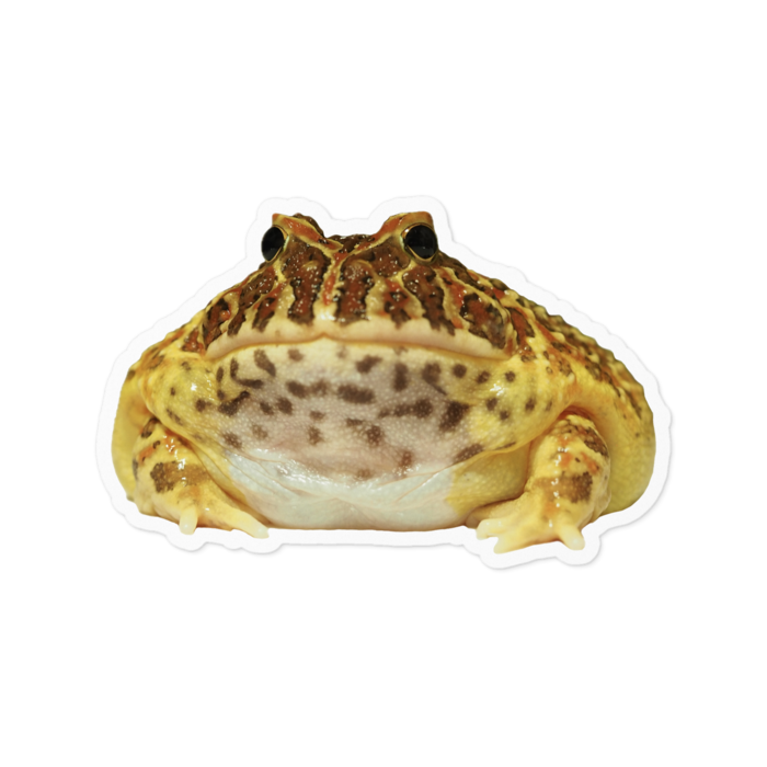 ステッカー - 100 x 100 (mm)