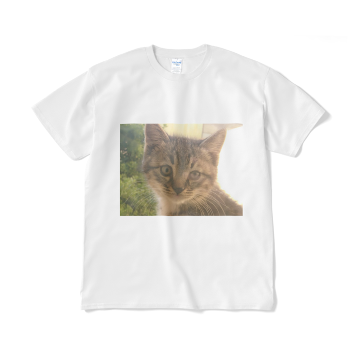 Tシャツ（短納期） - XL - ホワイト