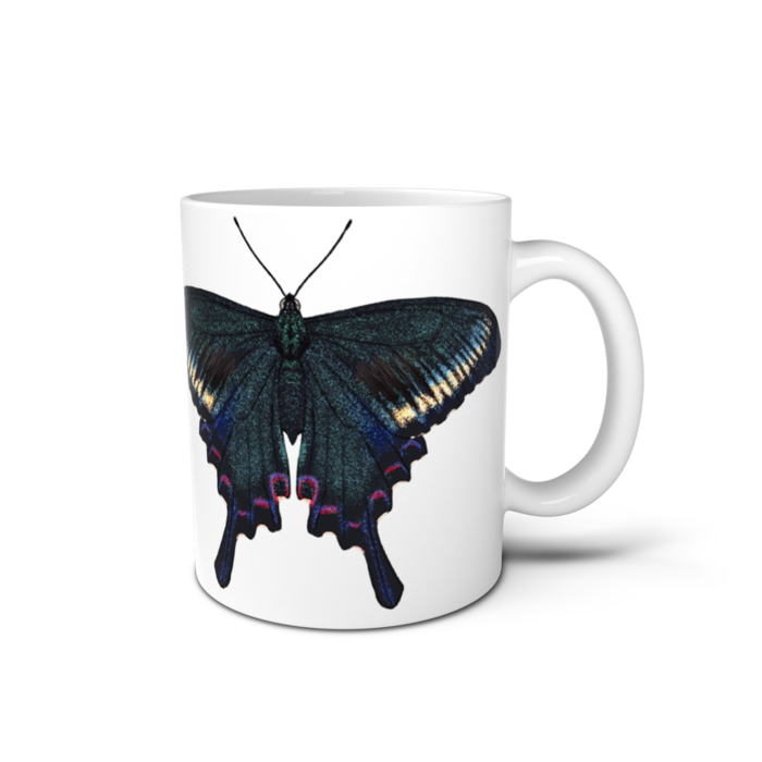 マグカップ - 直径 8 cm / 高さ 9.5 cm