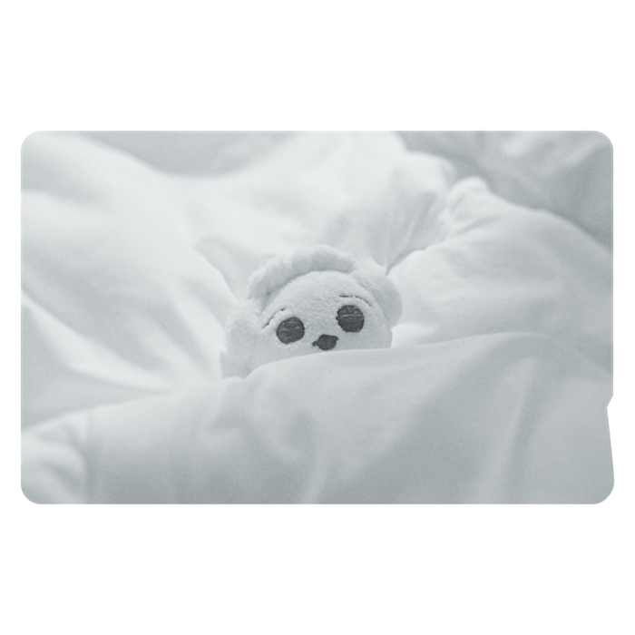 ICカードステッカー - 約85.7x53.9(mm)