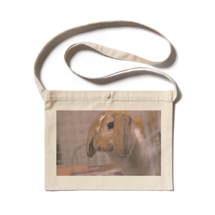 サコッシュ - 300 x 230 (mm)(1)