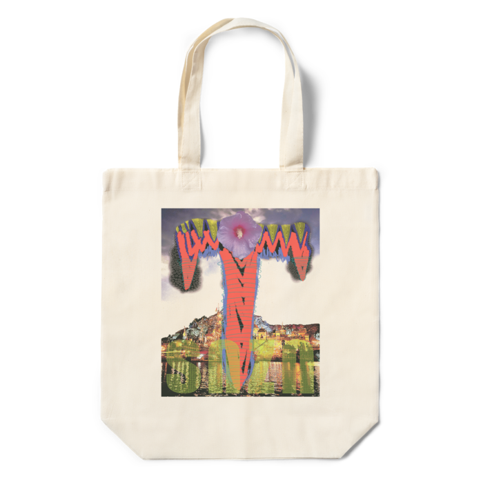 エコバッグ - 360×370×110(mm)