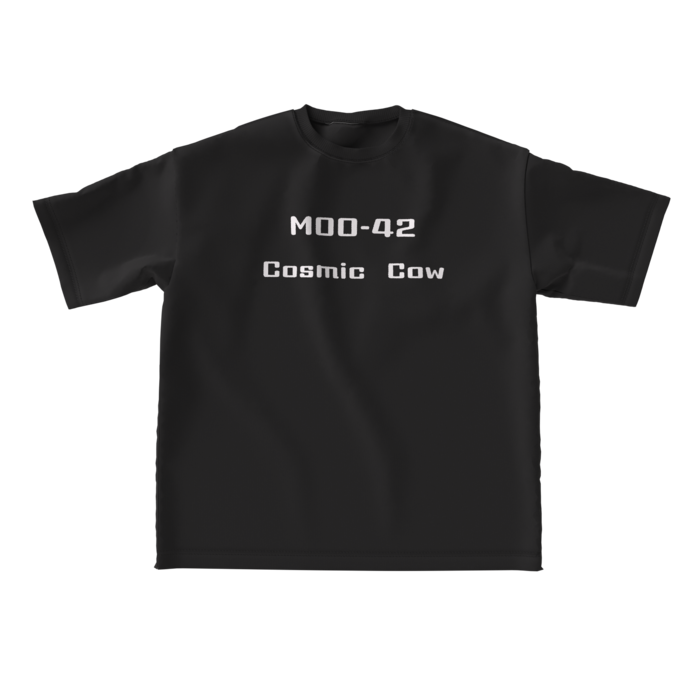 ビッグシルエットTシャツ - L - 両面(3)
