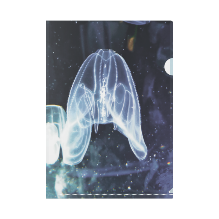 クリアファイル - A4