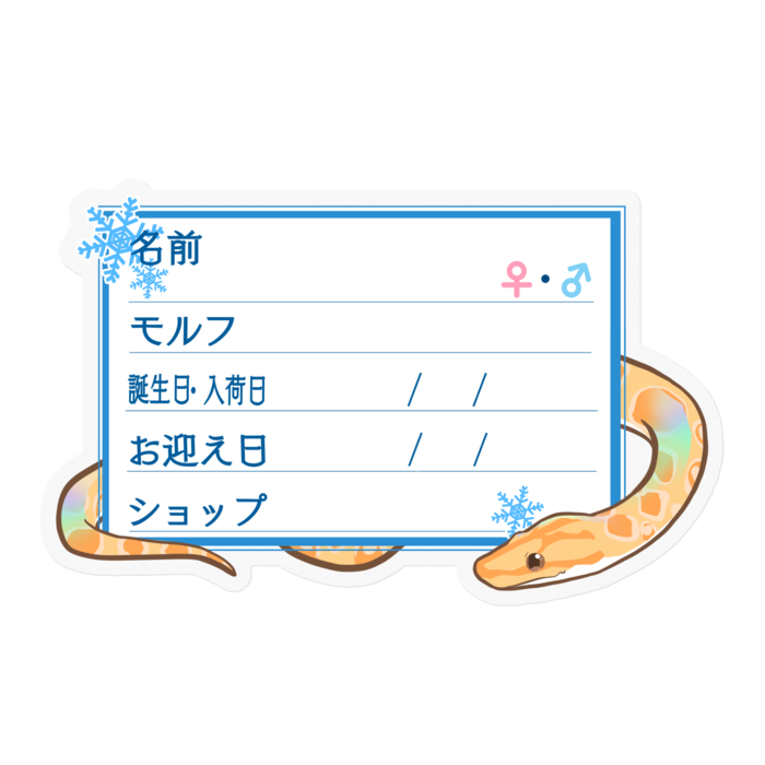 【🐍お名前ステッカー】ブラニジ(アルビノ) ‐雪
