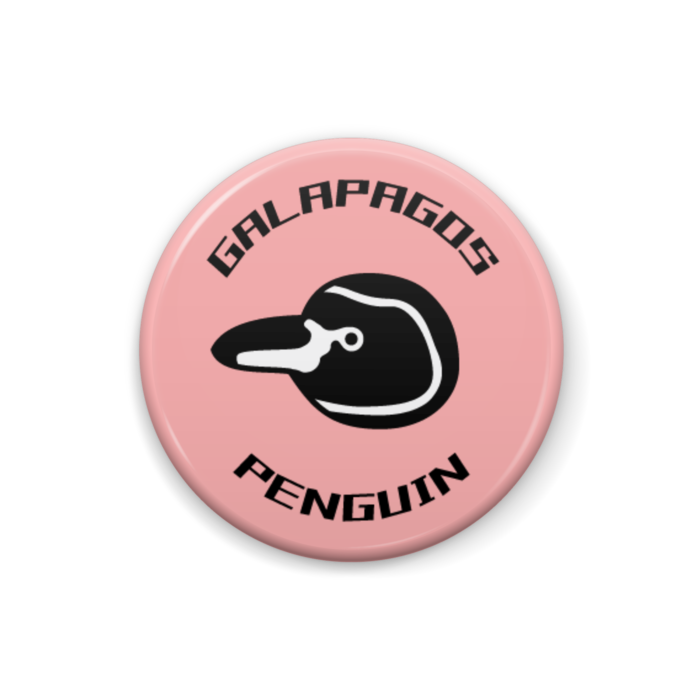 ガラパゴスペンギン