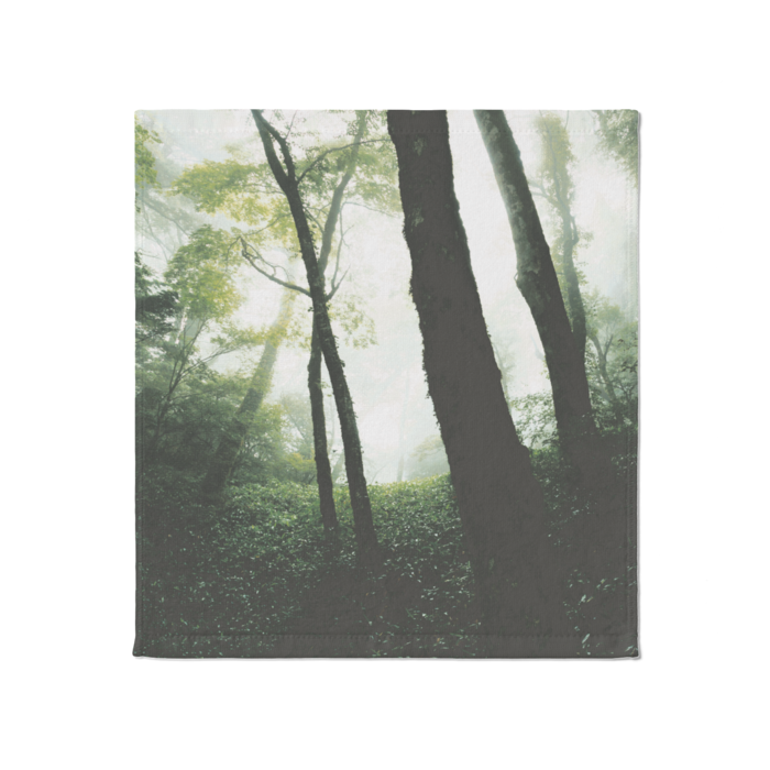 霧の立ち込むブナの森