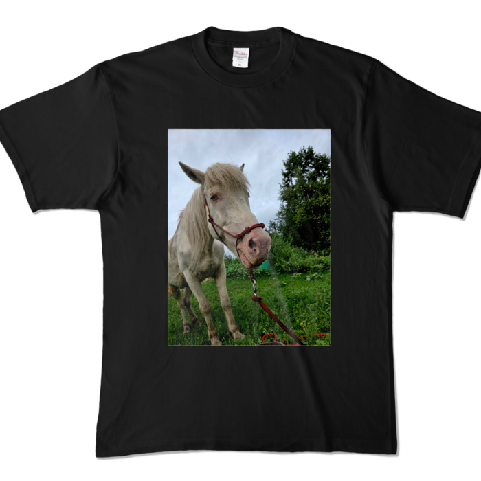 カラーTシャツ - XL - ブラック (濃色)