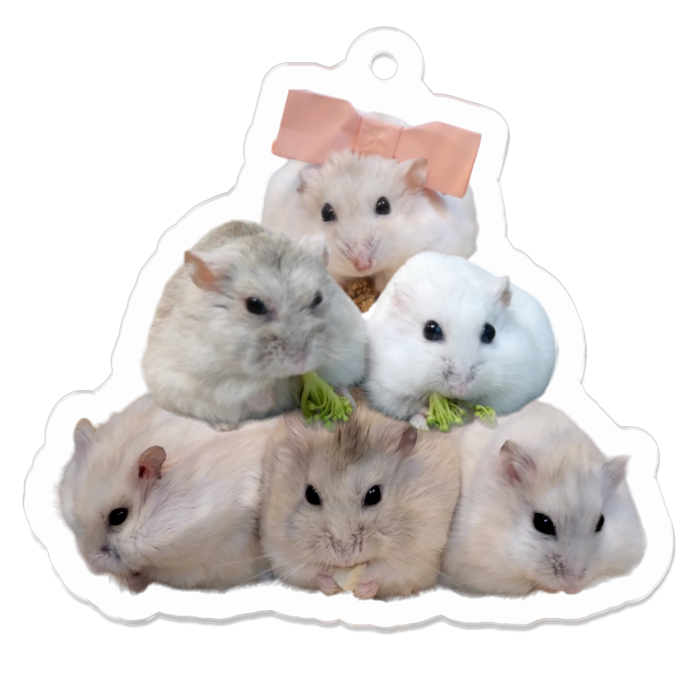 アクリルキーホルダー（コーティング） - 50 x 50 (mm)