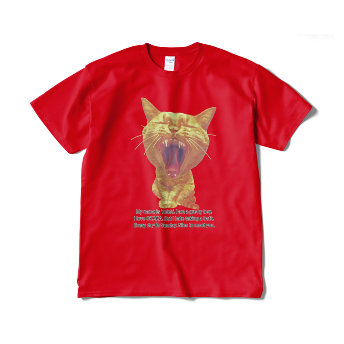 Tシャツ(短納期) - XL - レッド