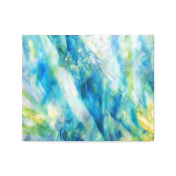 キャンバス - F3