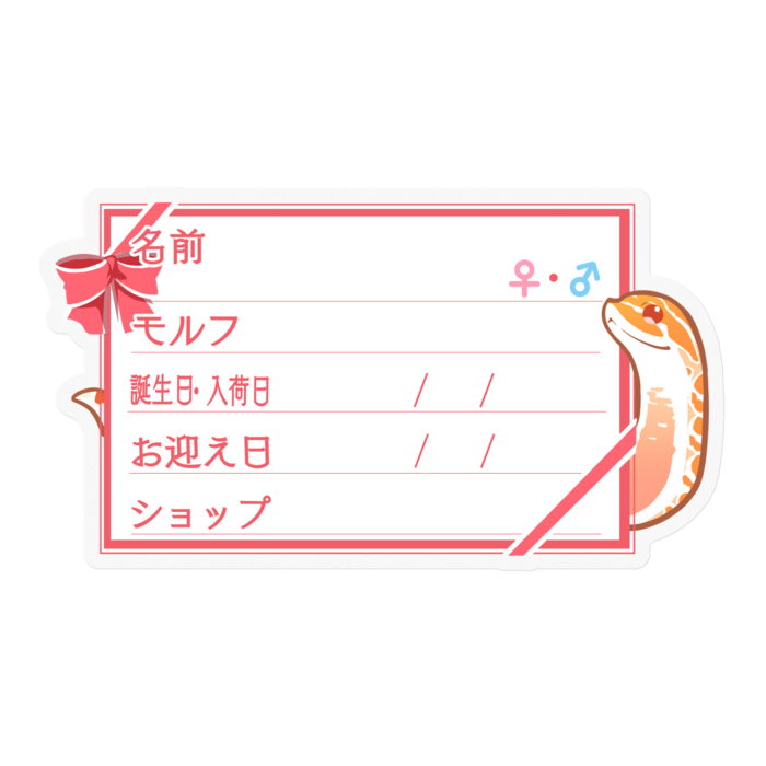 【🐍お名前ステッカー】シシバナ(アルビノ) ‐リボン／ピンク