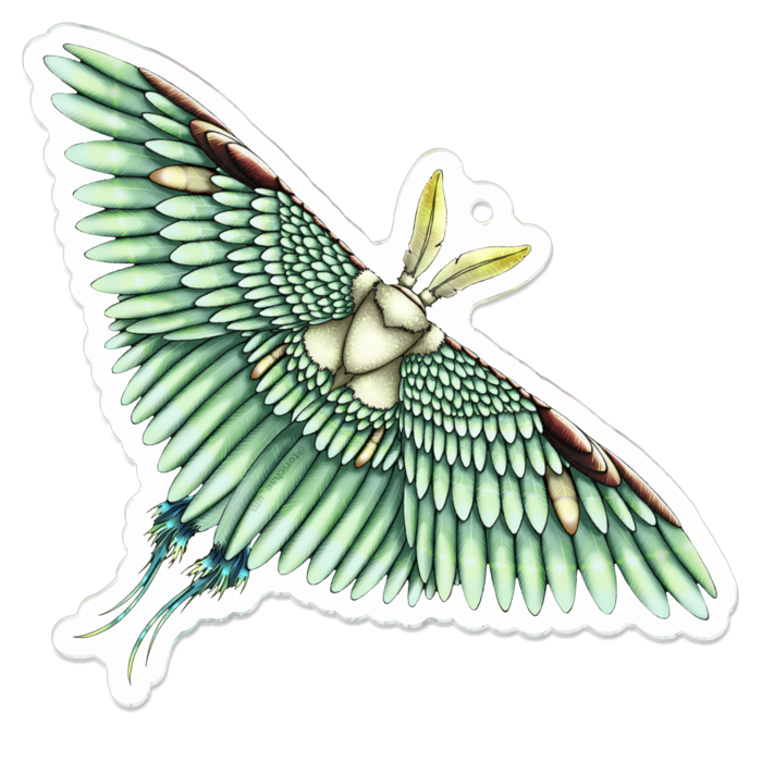 緑　ー　70 x 70㍉／コーティングあり