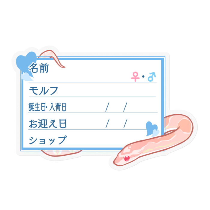 【🐍お名前ステッカー】コーンスネーク(サーモンスノー) - ハート／ブルー