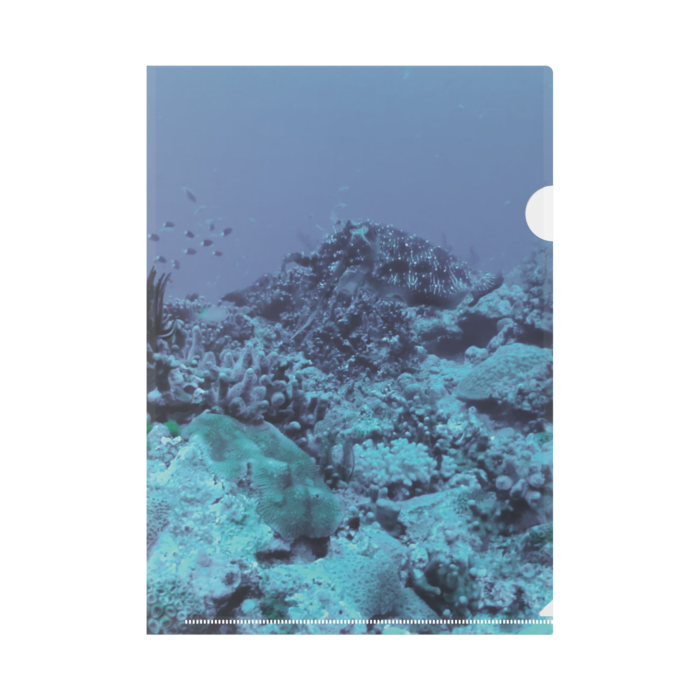 A4