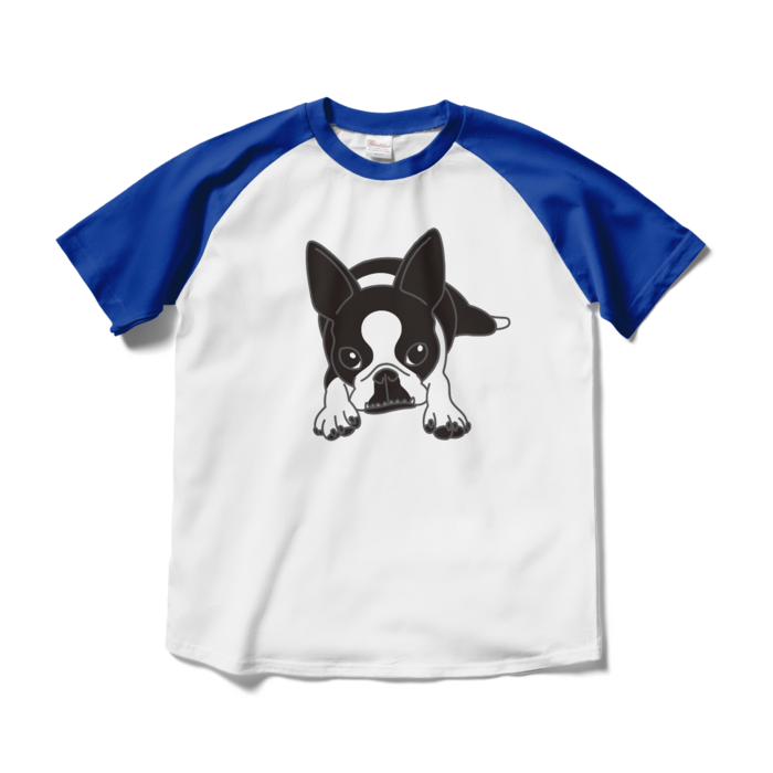 ラグランTシャツ - M - ホワイト×ロイヤルブルー