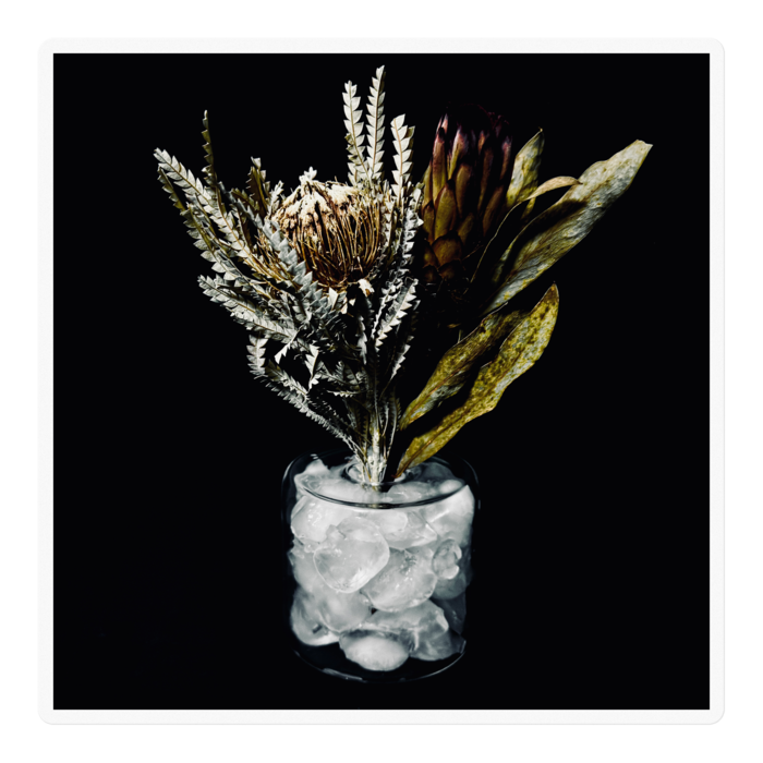 ステッカー - 100 x 100 (mm)