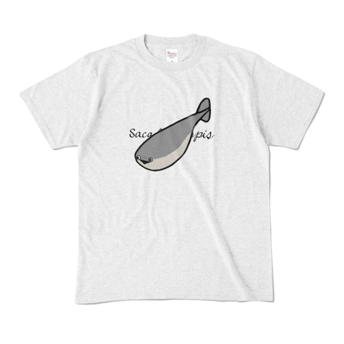 カラーTシャツ - M - アッシュ (淡色)