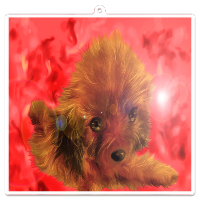 アクリルキーホルダー - 100 x 100 (mm)