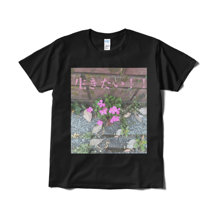 Tシャツ（短納期） - L - ブラック