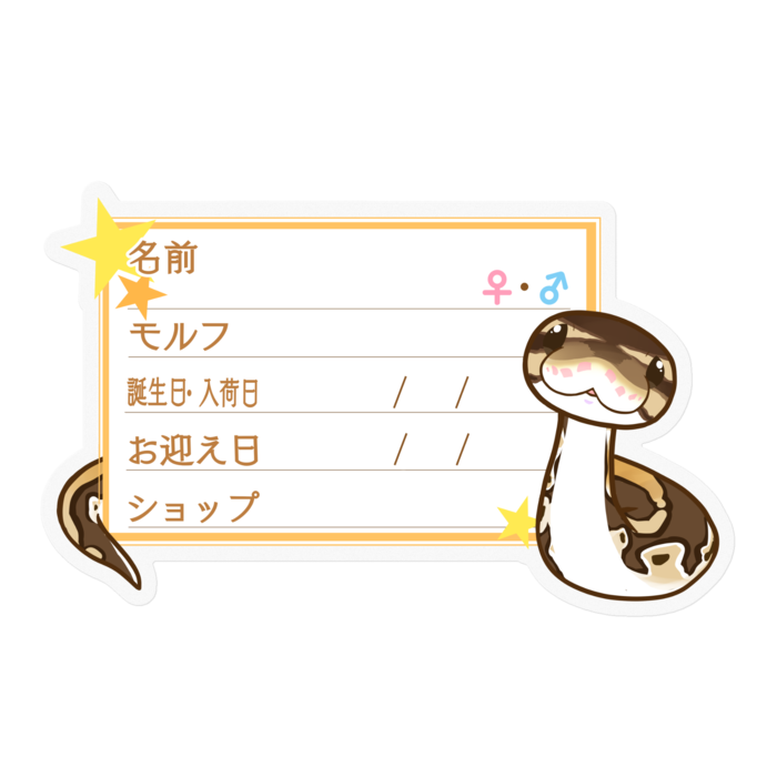 【🐍お名前ステッカー】ボールパイソン(ノーマルミニ) ‐星
