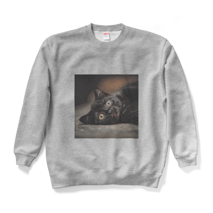 スウェット - XL - グレー