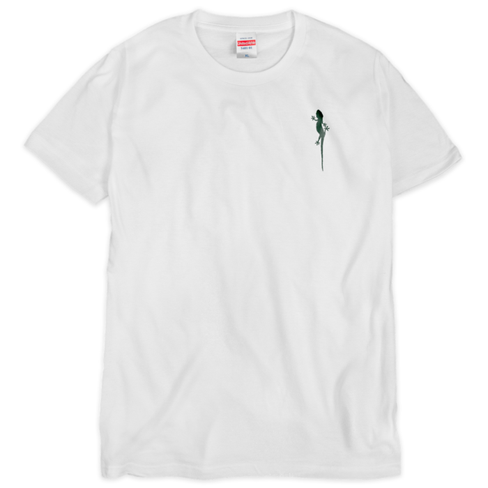 白 - フォレストヤモリ - XL