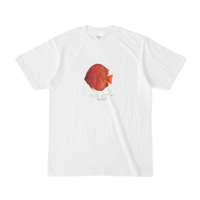 Tシャツ - S - 白