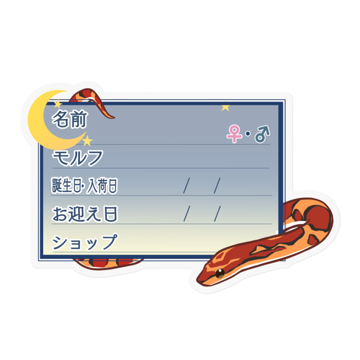 【🐍お名前ステッカー】コーンスネーク(ノーマル) - 夜