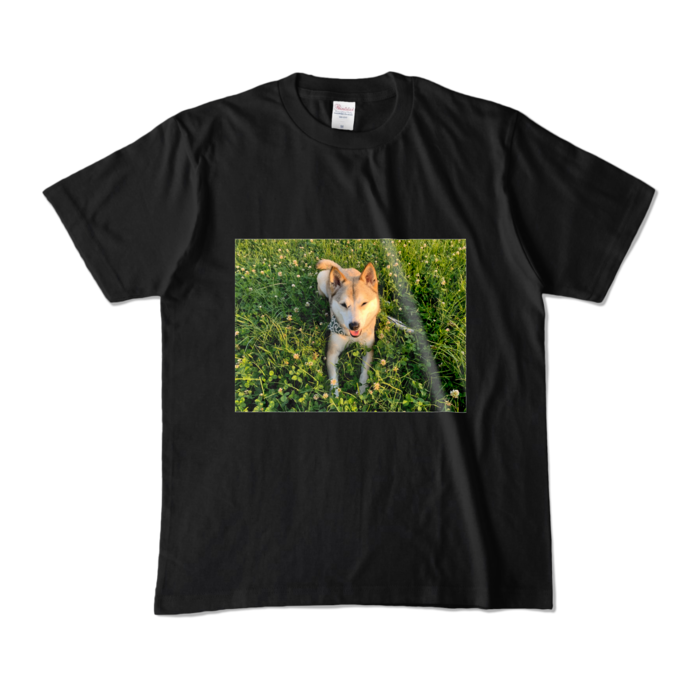 カラーTシャツ - M - ブラック (濃色)