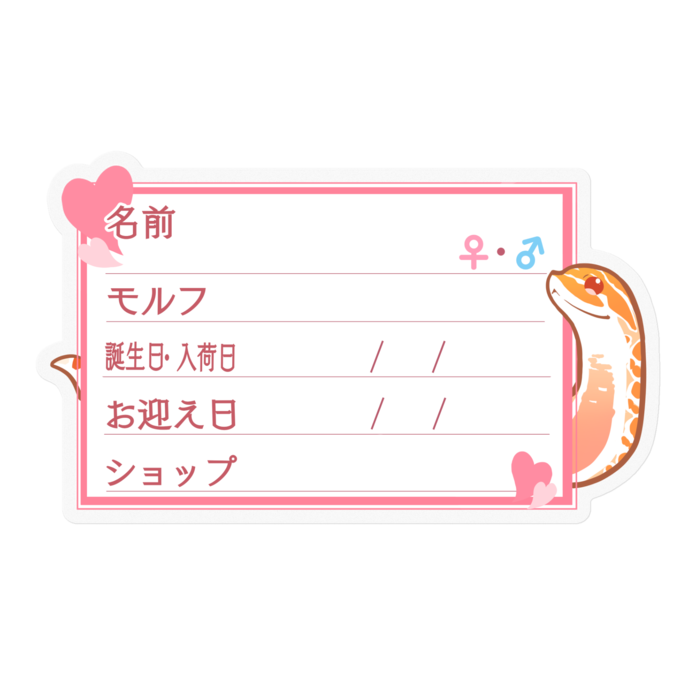 【🐍お名前ステッカー】シシバナ(アルビノ) ‐ハート／ピンク