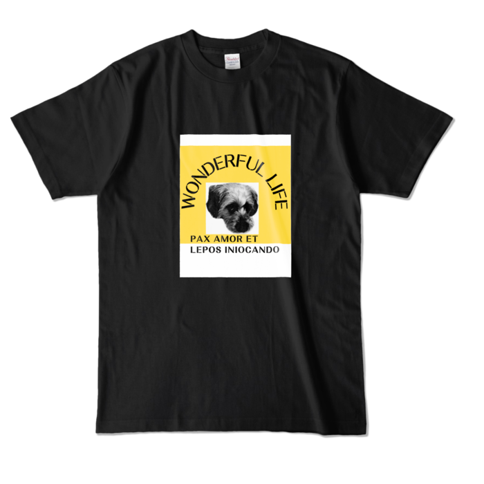 カラーTシャツ - L - ブラック (濃色)