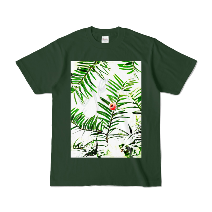 カラーTシャツ - S - フォレスト (濃色)