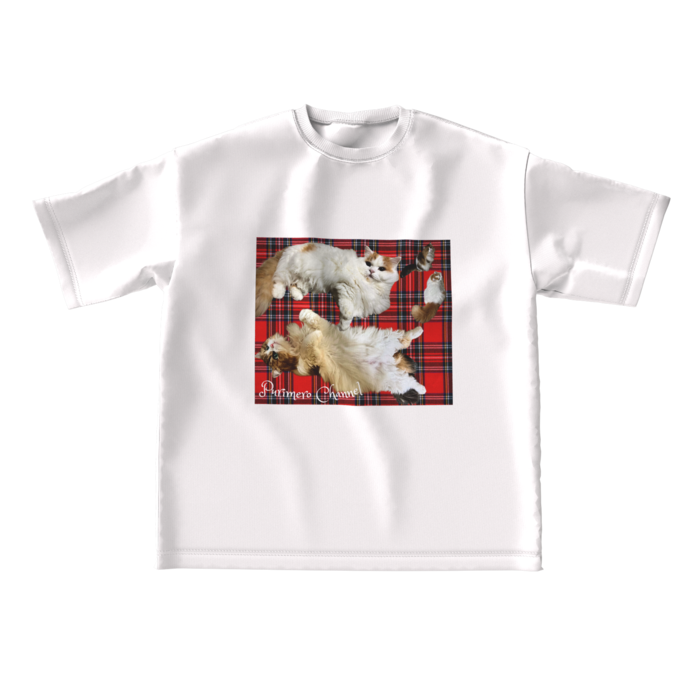 ビッグシルエットTシャツ - L - 両面