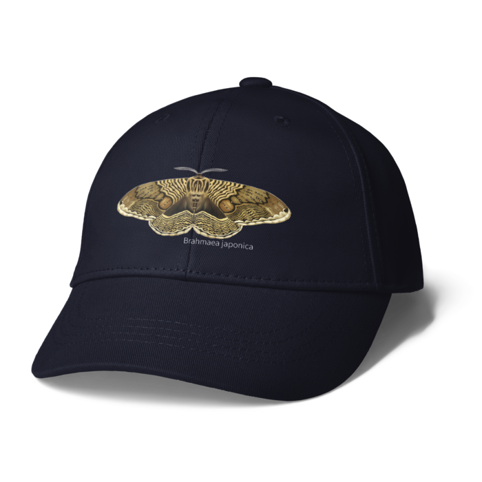 キャップ - ネイビー