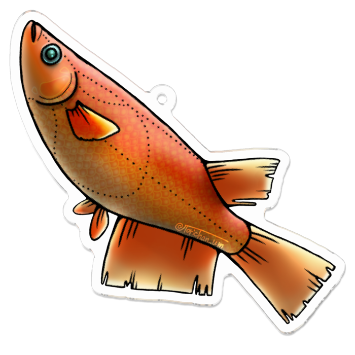 楊貴妃　ー　70 x 70 ㍉／コーティングあり