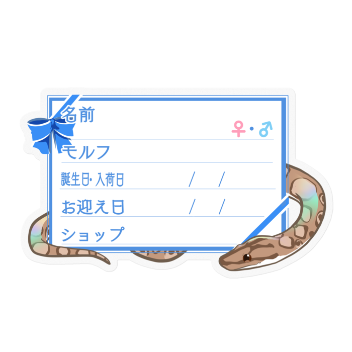 【🐍お名前ステッカー】コロニジ(ノーマル) ‐リボン／ブルー