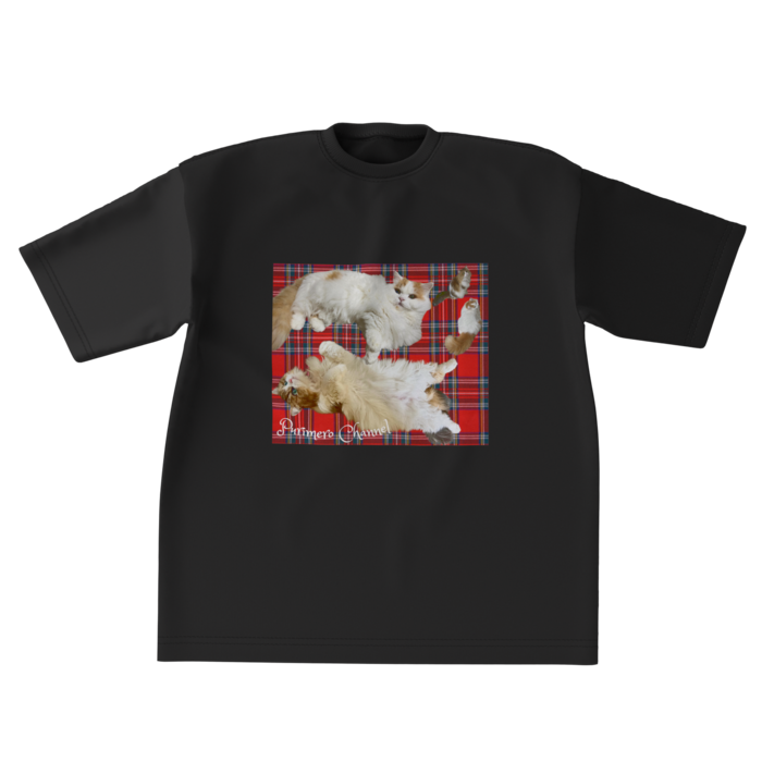 ビッグシルエットTシャツ - XL - 両面(1)
