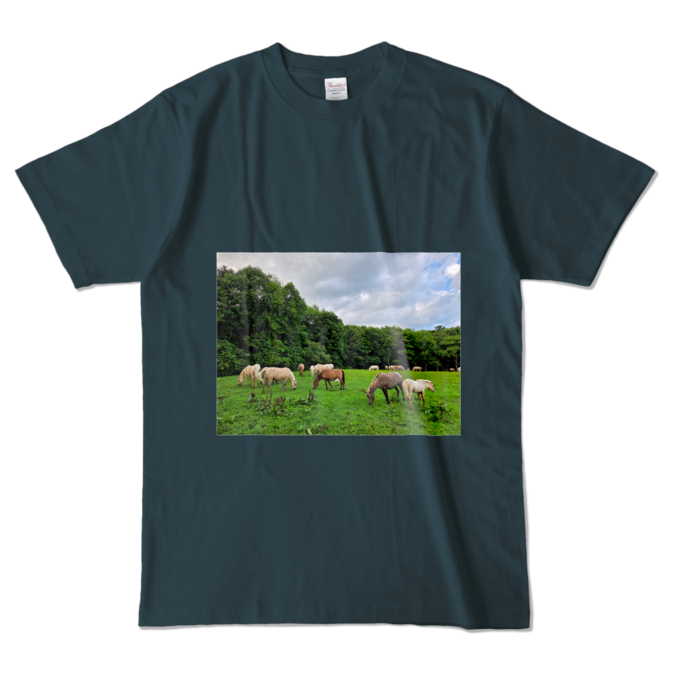 カラーTシャツ - L - デニム (濃色)