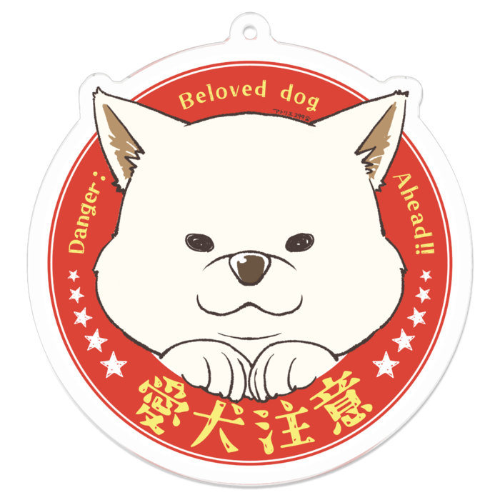 M（約70 x 70 mm）