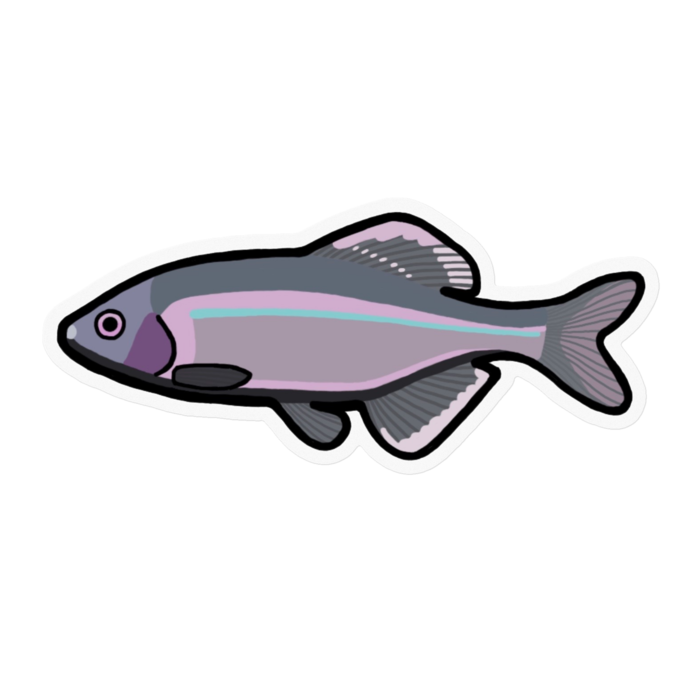 クリアステッカー - 100 x 100 (mm)