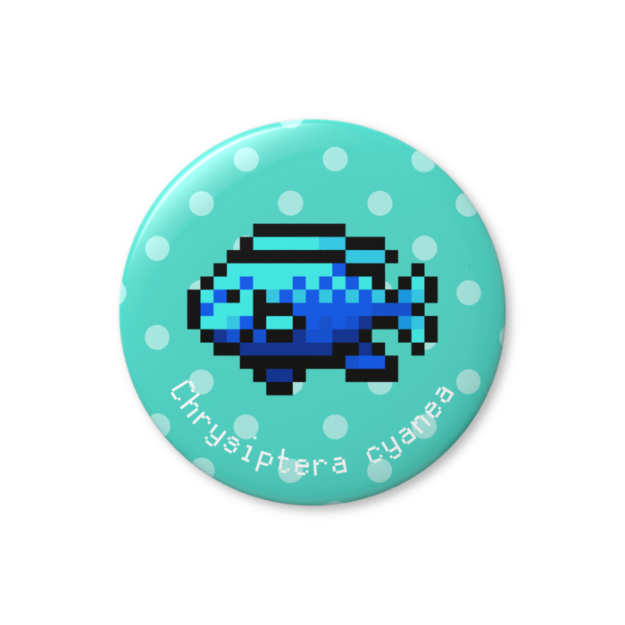 ルリスズメダイ