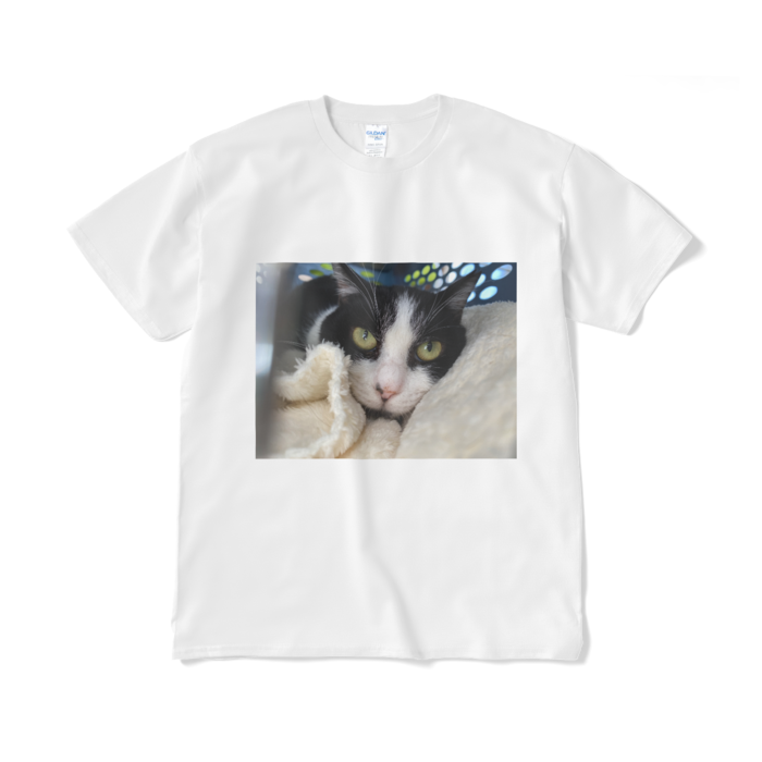 Tシャツ(短納期) - XL - ホワイト