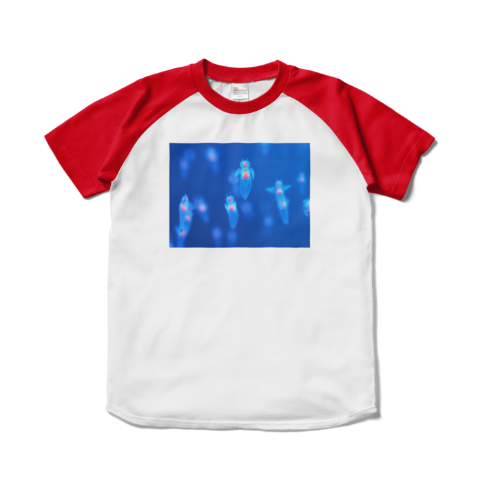 ラグランTシャツ - S - ホワイト×レッド