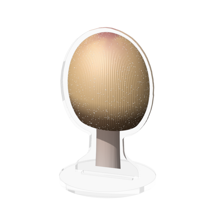 アクリルフィギュア - 70x70mm